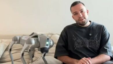 Robô doméstico de R$ 40 mil vira sensação nas redes sociais