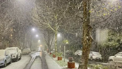 6 cidades brasileiras para quem sonha em ver neve