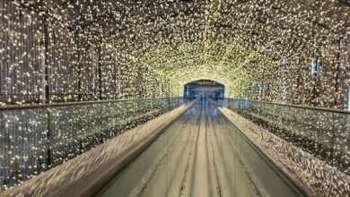 O túnel das luzes que virou tradição Curitiba encanta com mais de 1 milhão de lâmpadas e transforma a cidade em cenário de conto de fadas