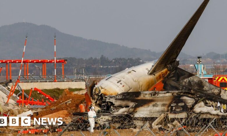 Victims' families criticise report blaming pilot error