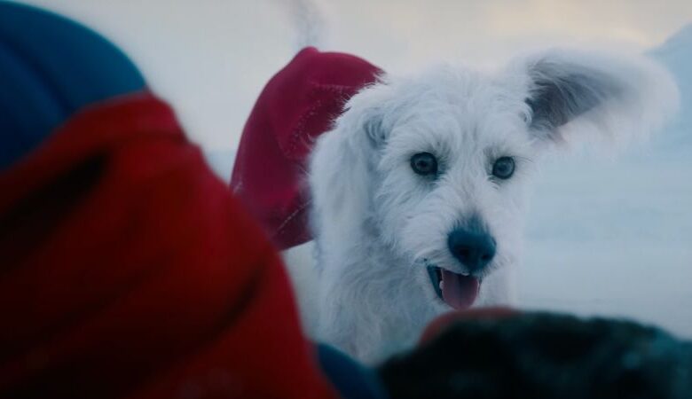 Krypto: The real-life inspiration behind Superman’s canine