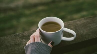 Quer começar o dia leve e ativo? Experimente essa bebida natural