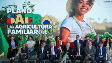 Para Plano Safra melhorar, é preciso a queda na Selic | Opinião