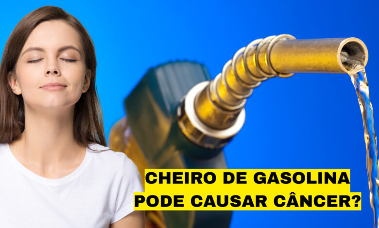 Fonte: Canva