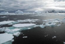 Oceano Ártico não congelou mesmo durante duas eras glaciais