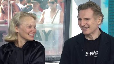 Are Pamela Anderson and Liam Neeson Dating? Craig Melvin Asks on TODAY: EXCLUSIVE