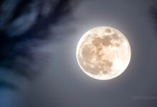 Último dia da Lua Cheia de julho é hoje (16); veja a próxima fase e mudanças