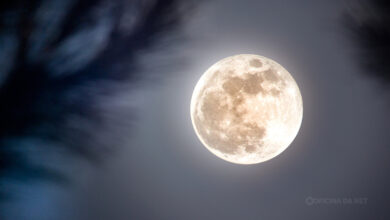Último dia da Lua Cheia de julho é hoje (16); veja a próxima fase e mudanças