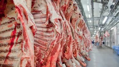 Queda no preço da carne é esperada nos próximos dias