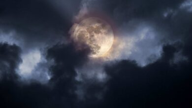 Fase da Lua hoje: 14/07/2025
