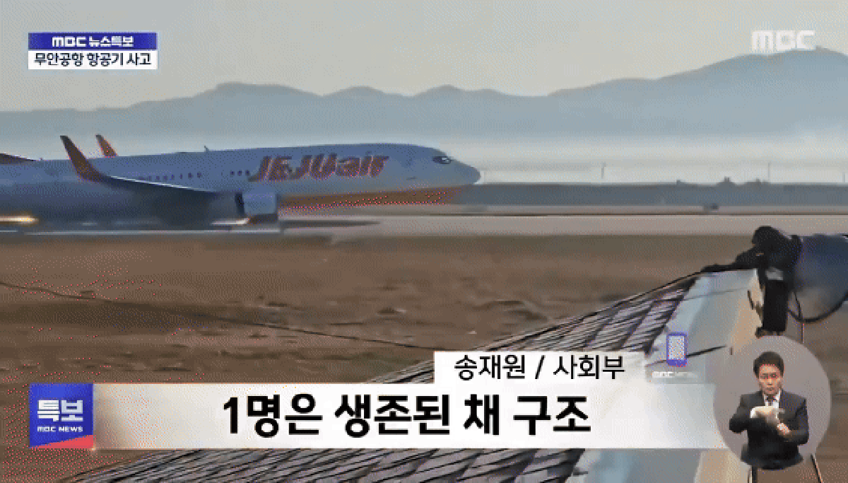 Pilotos desligaram motor errado após colisão com aves, aponta investigação sobre acidente aéreo na Coreia do Sul