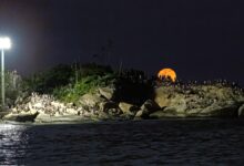 O que é a 'Lua do Veado'? Saiba como e quando observar o fenômeno pelo país