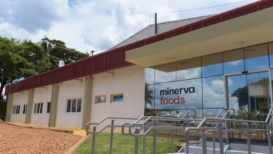 Minerva (BEEF3) aprova redução de capital no valor de R$ 577,3 milhões