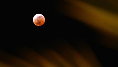 veja as fases da lua no mês