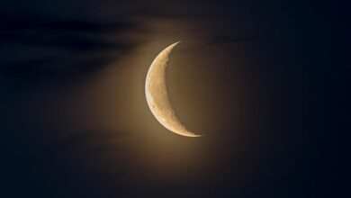 Qual a fase da Lua nesta quinta-feira (7)? Veja o calendário lunar de agosto