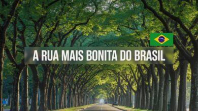 Descubra a Rua Gonçalo de Carvalho, em Porto Alegre, considerada a mais bonita do Brasil, símbolo de urbanismo sustentável e patrimônio ambiental.