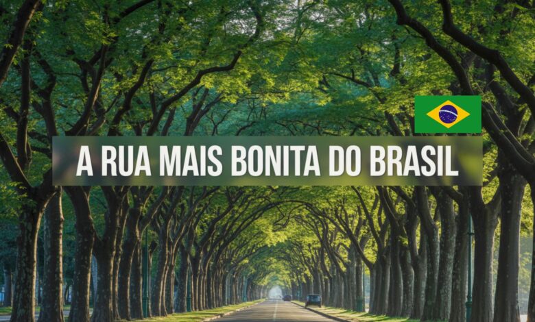 Descubra a Rua Gonçalo de Carvalho, em Porto Alegre, considerada a mais bonita do Brasil, símbolo de urbanismo sustentável e patrimônio ambiental.