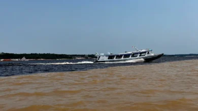 falta de chuva coloca afluentes do Amazonas em alerta máximo