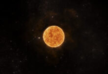 Reprodução: Freepik