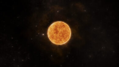 Reprodução: Freepik