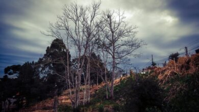 Frente fria se aproxima e traz chuva para Curitiba nesta semana