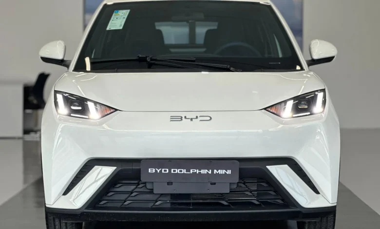 Com alta de 57%, BYD Dolphin Mini domina as vendas de elétricos em julho
