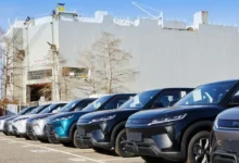 BYD desembarca na Argentina com Yuan Pro, Song Pro e Dolphin Mini