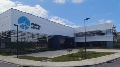 Brasil inaugura a maior fábrica de mosquitos modificados do mundo e pretende proteger até 70 milhões de pessoas