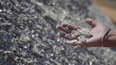 Brasil no centro das atenções globais: encontrada uma das maiores raridades da Terra