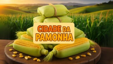 Piracicaba é destaque na produção de pamonha, com mais de 5 mil unidades diárias e exportação inédita, tornando-se referência nacional.