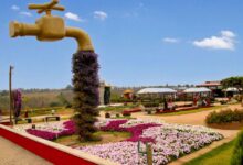 Expoflora 2025 em Holambra reúne flores, desfiles e atrações culturais. Descubra também roteiros verdes e floridos em São Paulo.