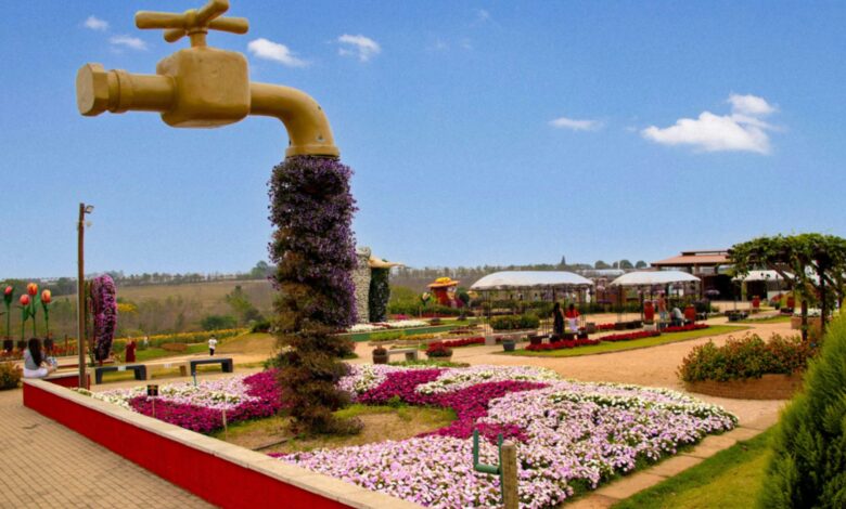 Expoflora 2025 em Holambra reúne flores, desfiles e atrações culturais. Descubra também roteiros verdes e floridos em São Paulo.
