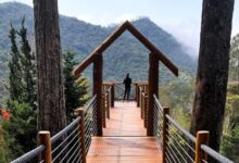 Cidade do interior de SP une clima frio, vistas a 1.600 m de altitude, cultura japonesa e astronomia em um só destino bem mair barato que Campos do Jordão