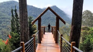 Cidade do interior de SP une clima frio, vistas a 1.600 m de altitude, cultura japonesa e astronomia em um só destino bem mair barato que Campos do Jordão