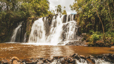 A cidade com cachoeiras e bosques mágicos