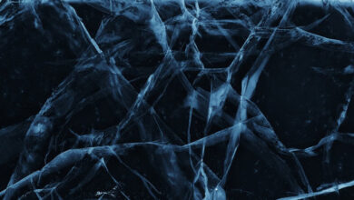 material vivo que absorve oxigênio foi criado em laboratório