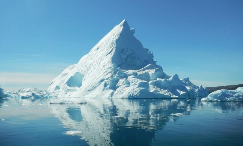 Cientistas encontram 33 espécies no Ártico antes consideradas impossíveis