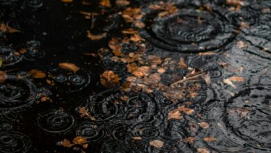 Chuva venenosa? Cientistas descobrem ácido tóxico espalhado pelo planeta