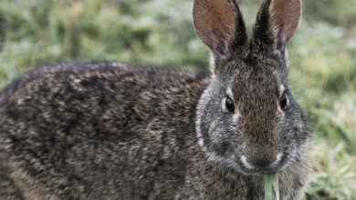 Reprodução: Freepik