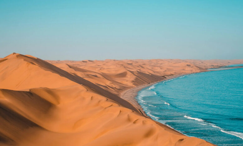 Descubra a história, as características únicas e os desafios ambientais do Deserto do Namibe, um dos mais antigos do planeta, conhecido como Mar de Areia, onde o deserto encontra o mar. Fonte: Unsplash