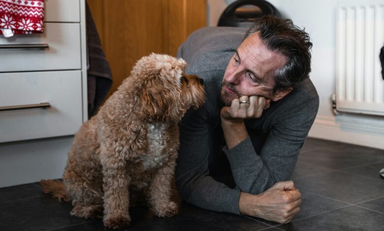 Dicas pouco conhecidas para conquistar a confiança do seu cachorro