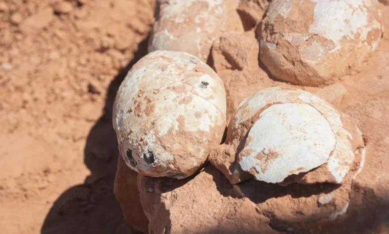 80 milhões de anos depois, os dinossauros voltam a chocar o Brasil