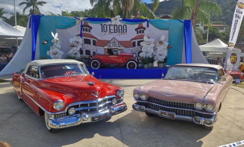 EBAA 2025 reúne raridades e meio milhão de visitantes