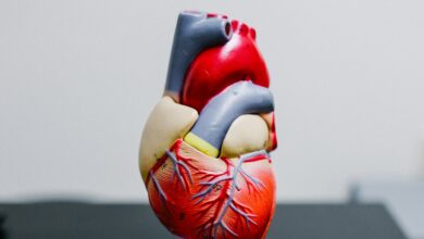 Estudo mostra que seu coração pode ser mais velho que você pensa