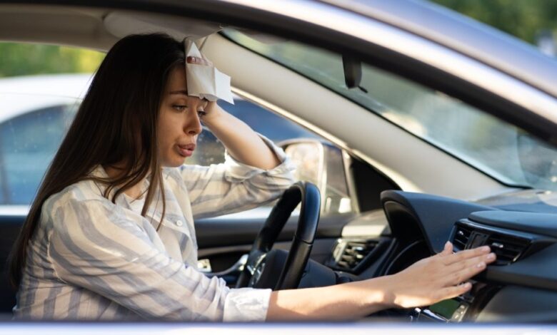 Calor no carro? Teste esse método fácil que evita o uso do ar‑condicionado