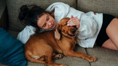 Falar com o cachorro pode melhorar sua vida, aponta psicologia