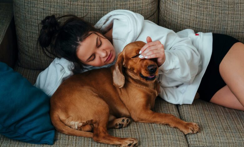 Falar com o cachorro pode melhorar sua vida, aponta psicologia