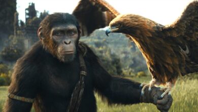 Um dos maiores filmes de 2024 já está no catálogo do Disney+