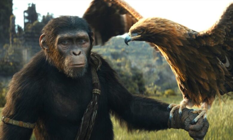 Um dos maiores filmes de 2024 já está no catálogo do Disney+
