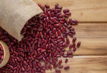 Essa fonte de proteína vegetal e antioxidantes, é aliado da digestão